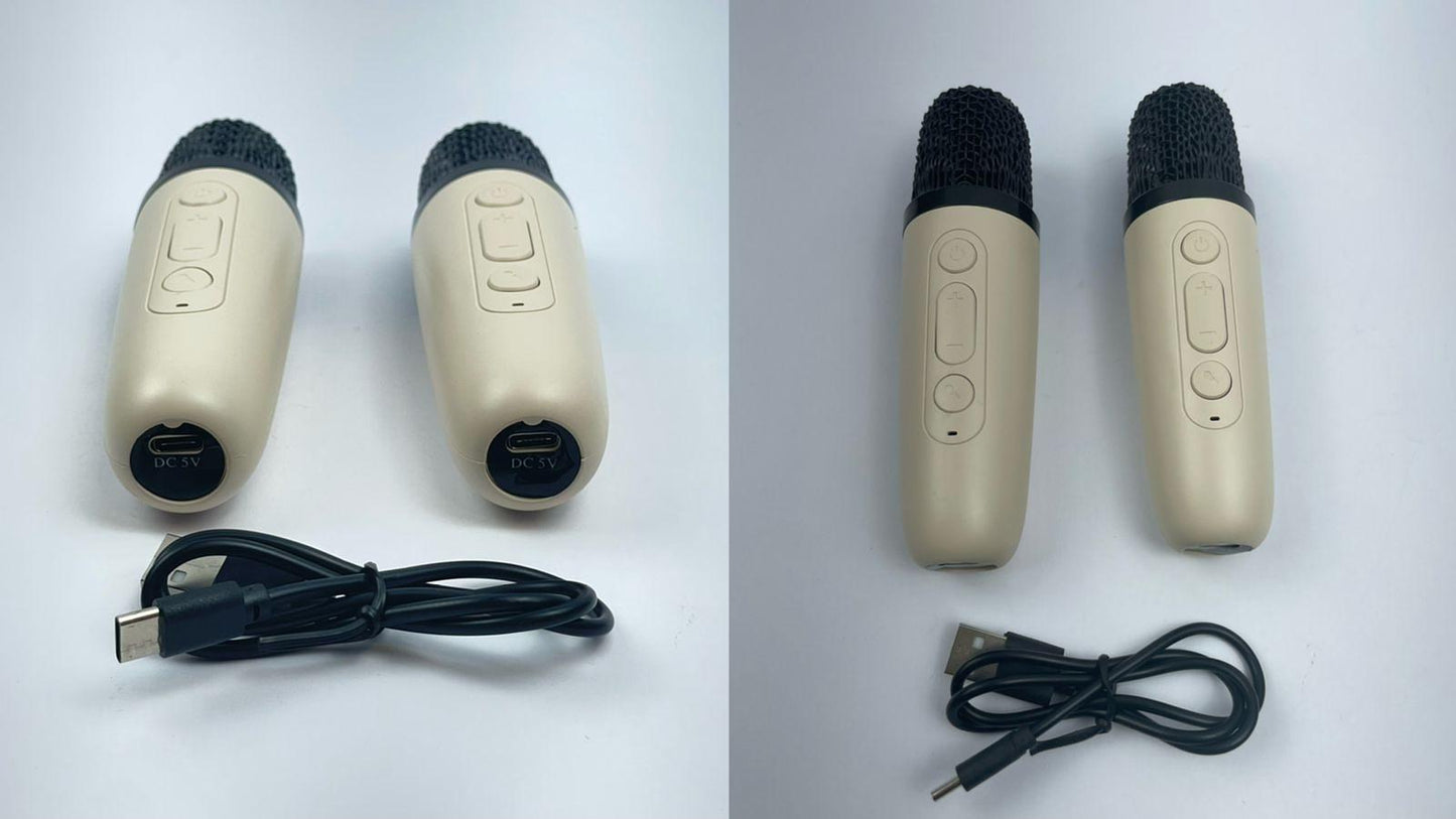 KARAOKE SPEAKER 4ONCHI GREATNICE SPEAKER