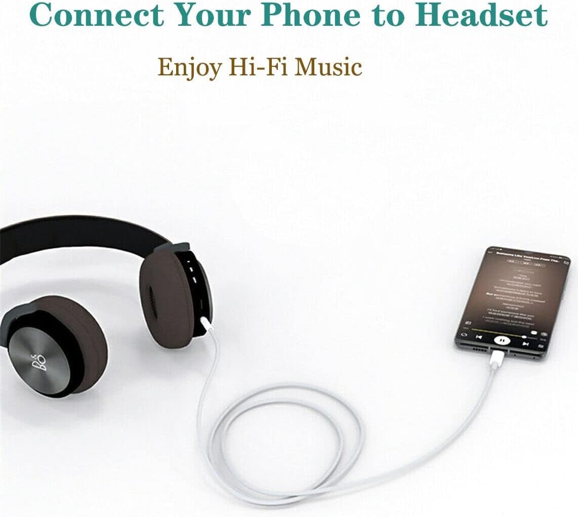 Type C to 3.5 Aux Audio