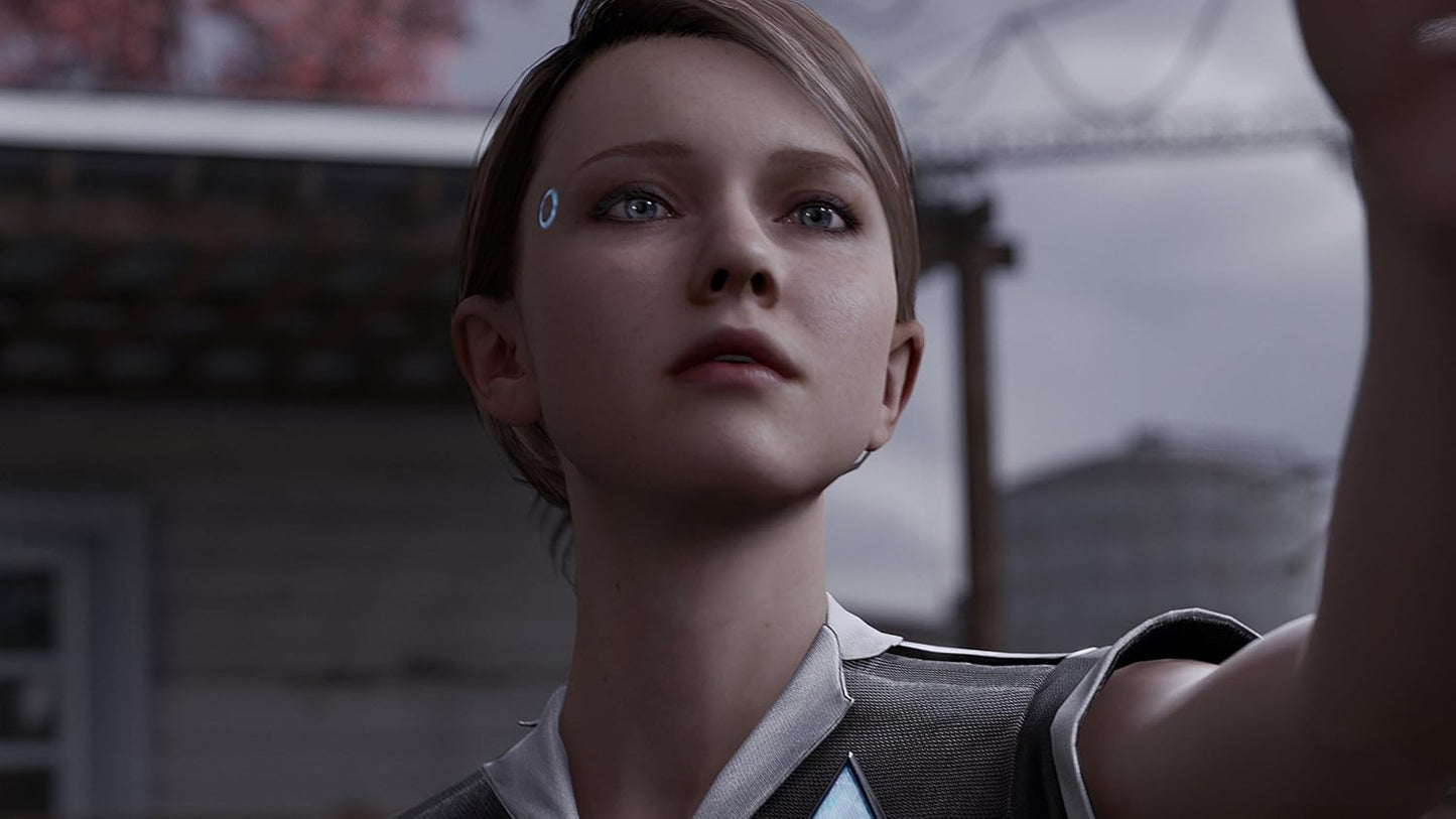 PS4	Detroit Become Human	Used