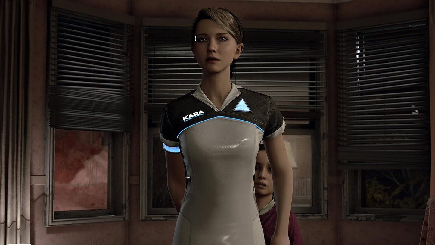 PS4	Detroit Become Human	Used