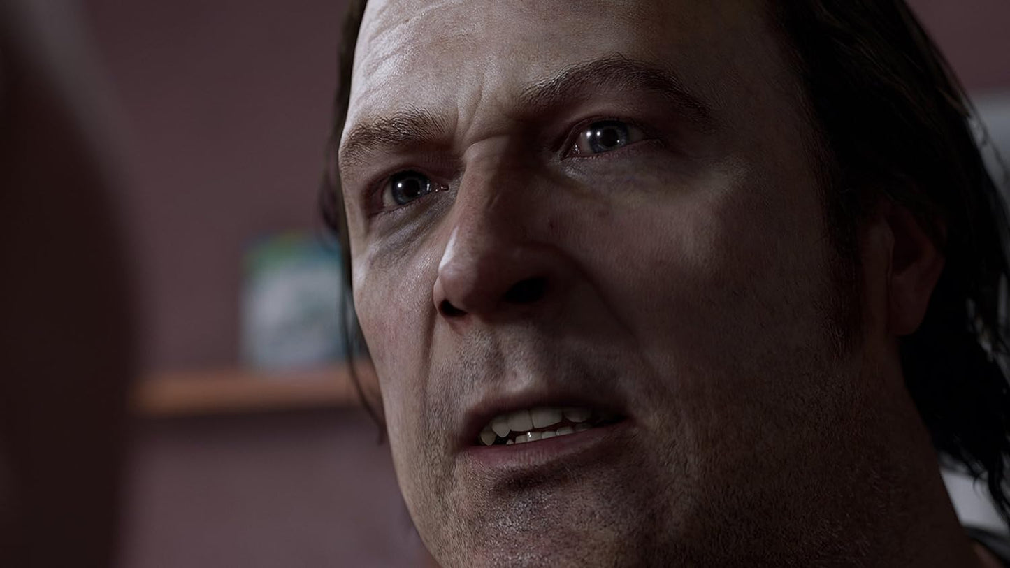 PS4	Detroit Become Human	Used