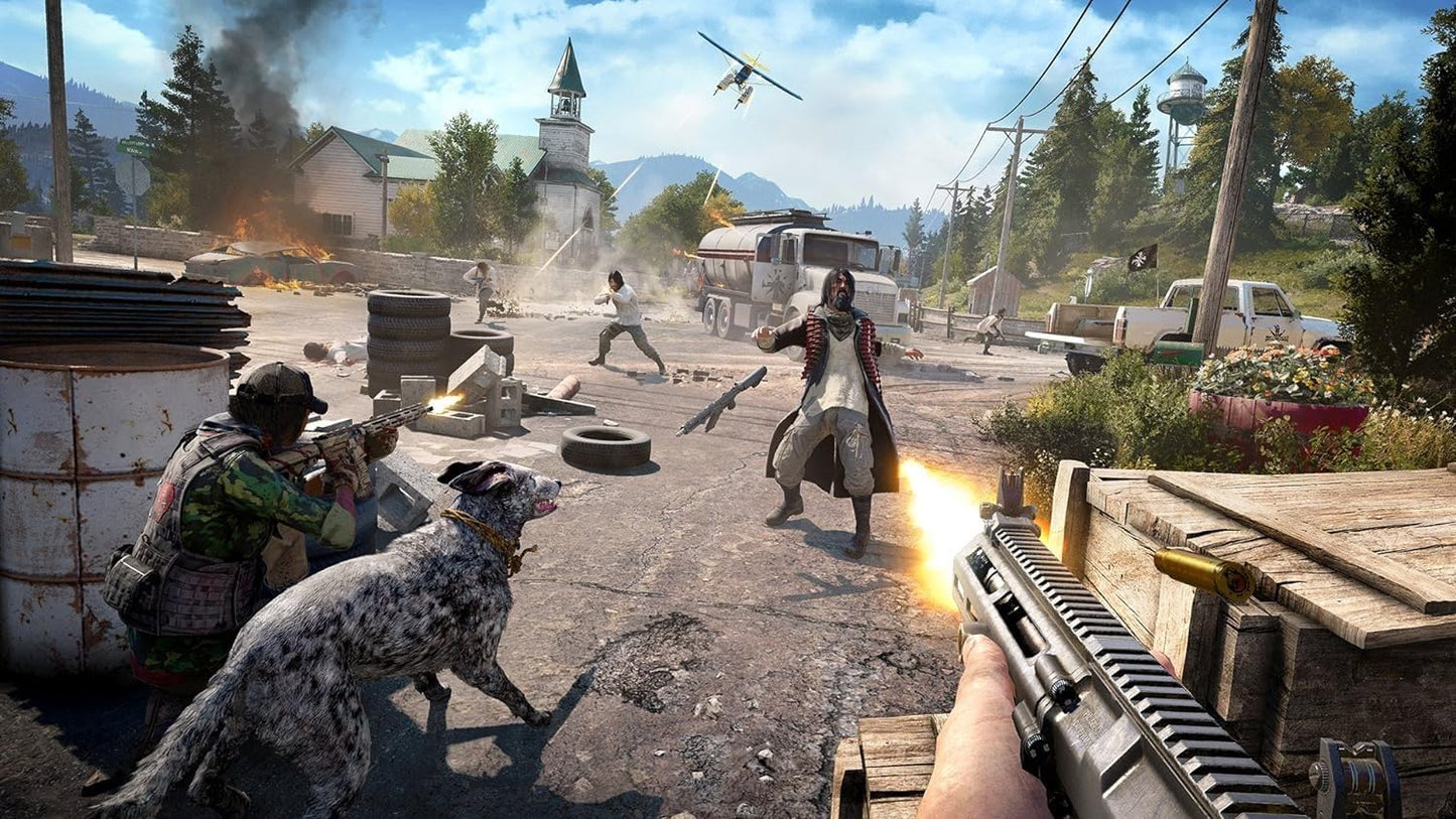 PS4	Far Cry 5	Used