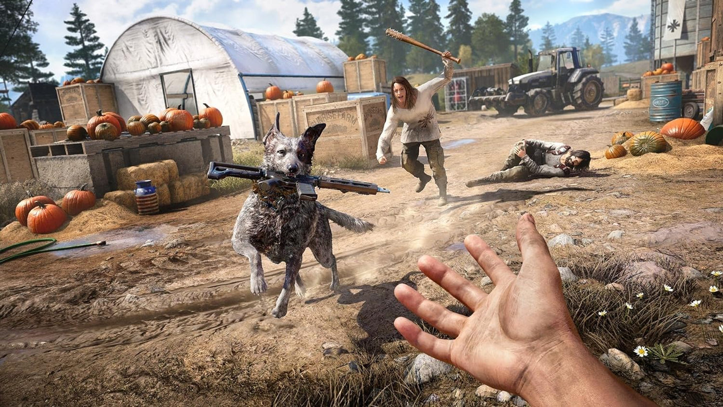 PS4	Far Cry 5	Used