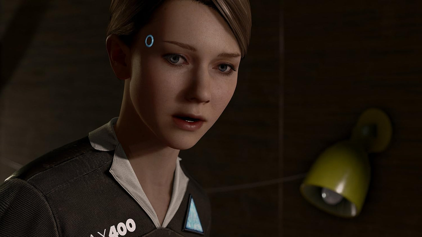 PS4	Detroit Become Human	Used
